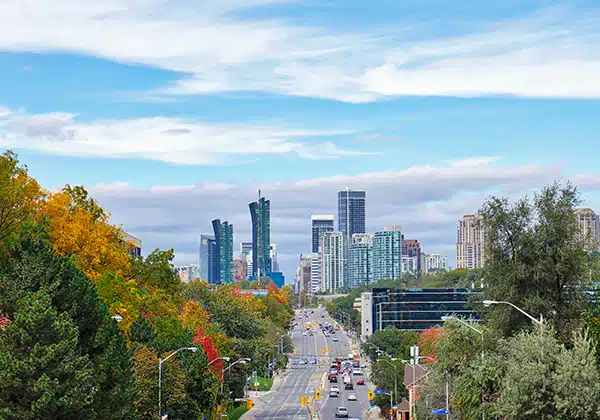 Colour By Design inc photo 4